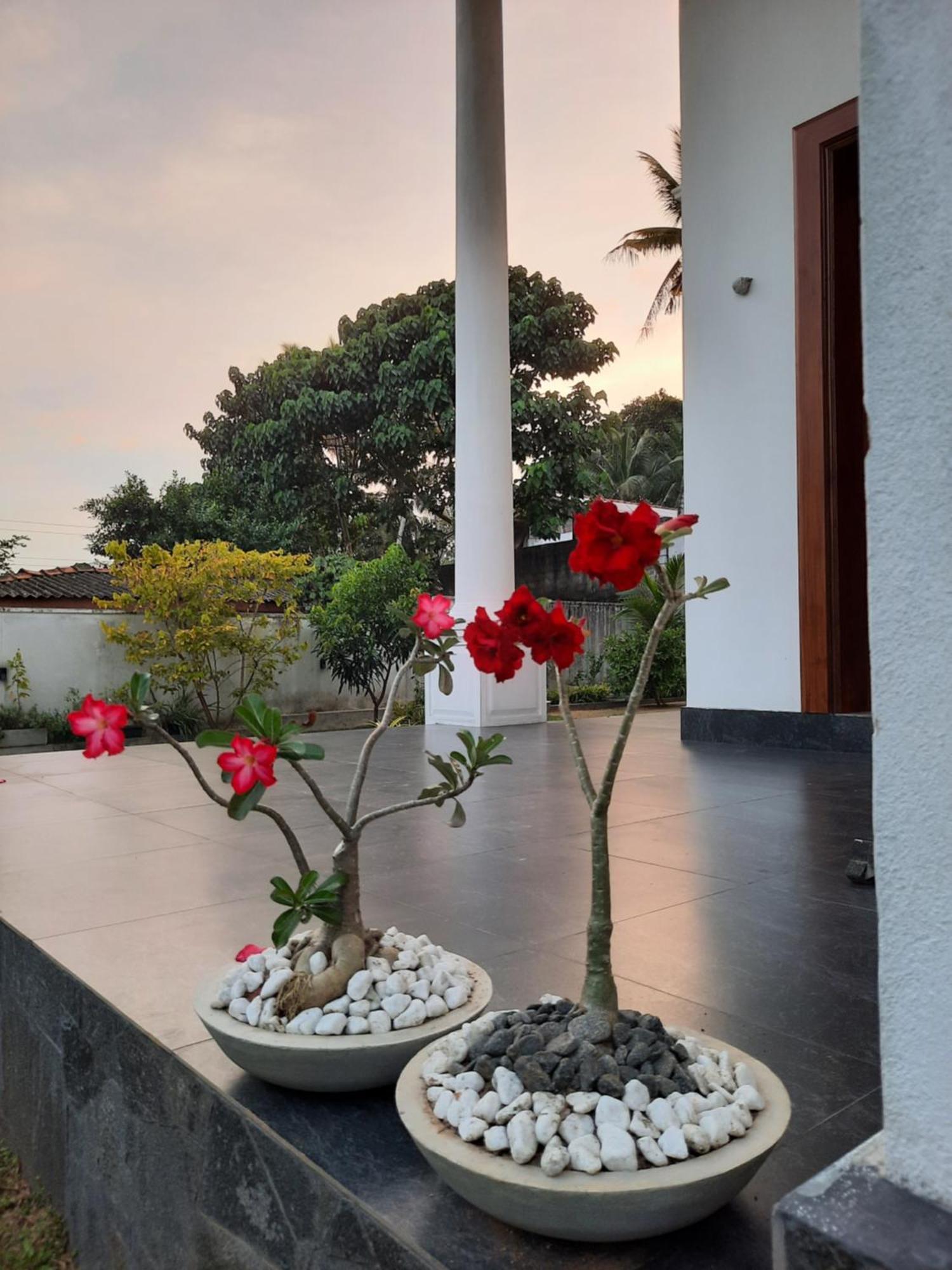"The Anchorage" Of Field View Apartamento Pannipitiya Exterior foto